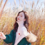 49图库资料免费大全资料澳门手机app下载